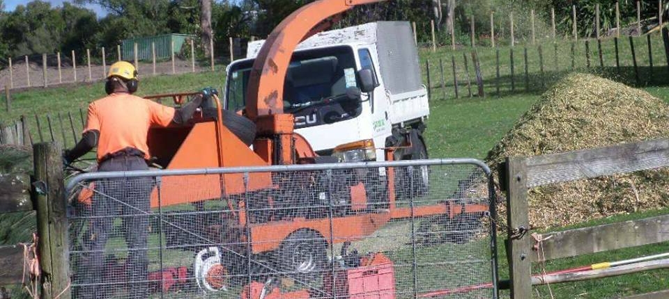 Mulching, tree felling, tree removal Auckland region and Waitakere